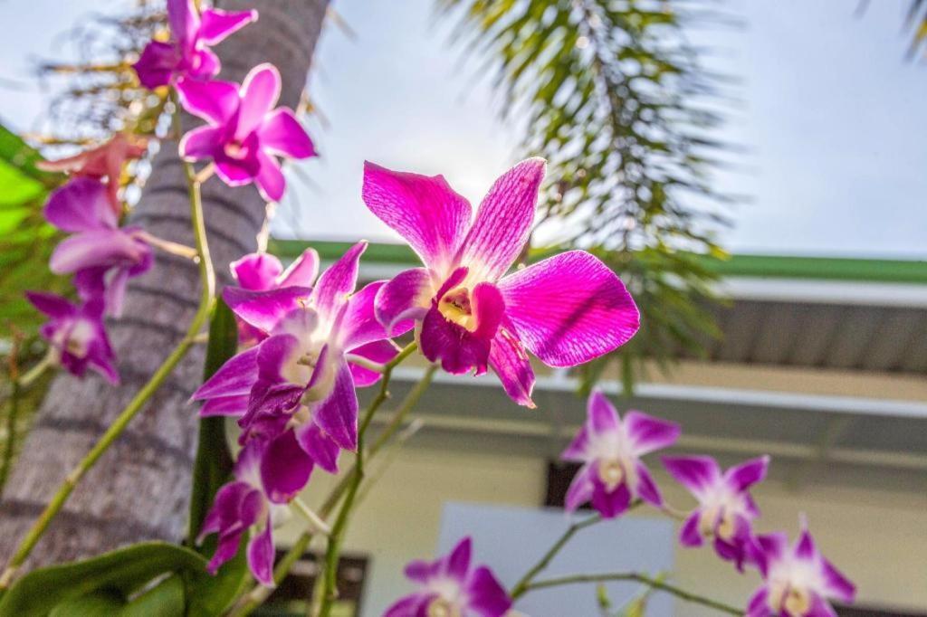 Oyo 450 Rawai Studios Resort Ngoại thất bức ảnh